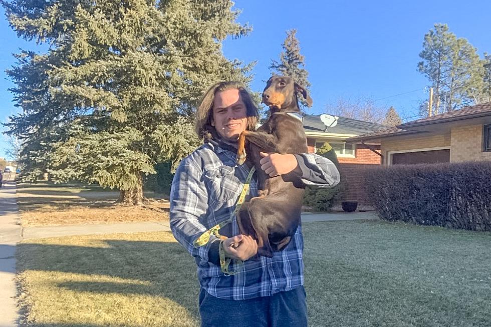Dog Stolen in Cheyenne Car Theft Found Safe, Reunited With Owner