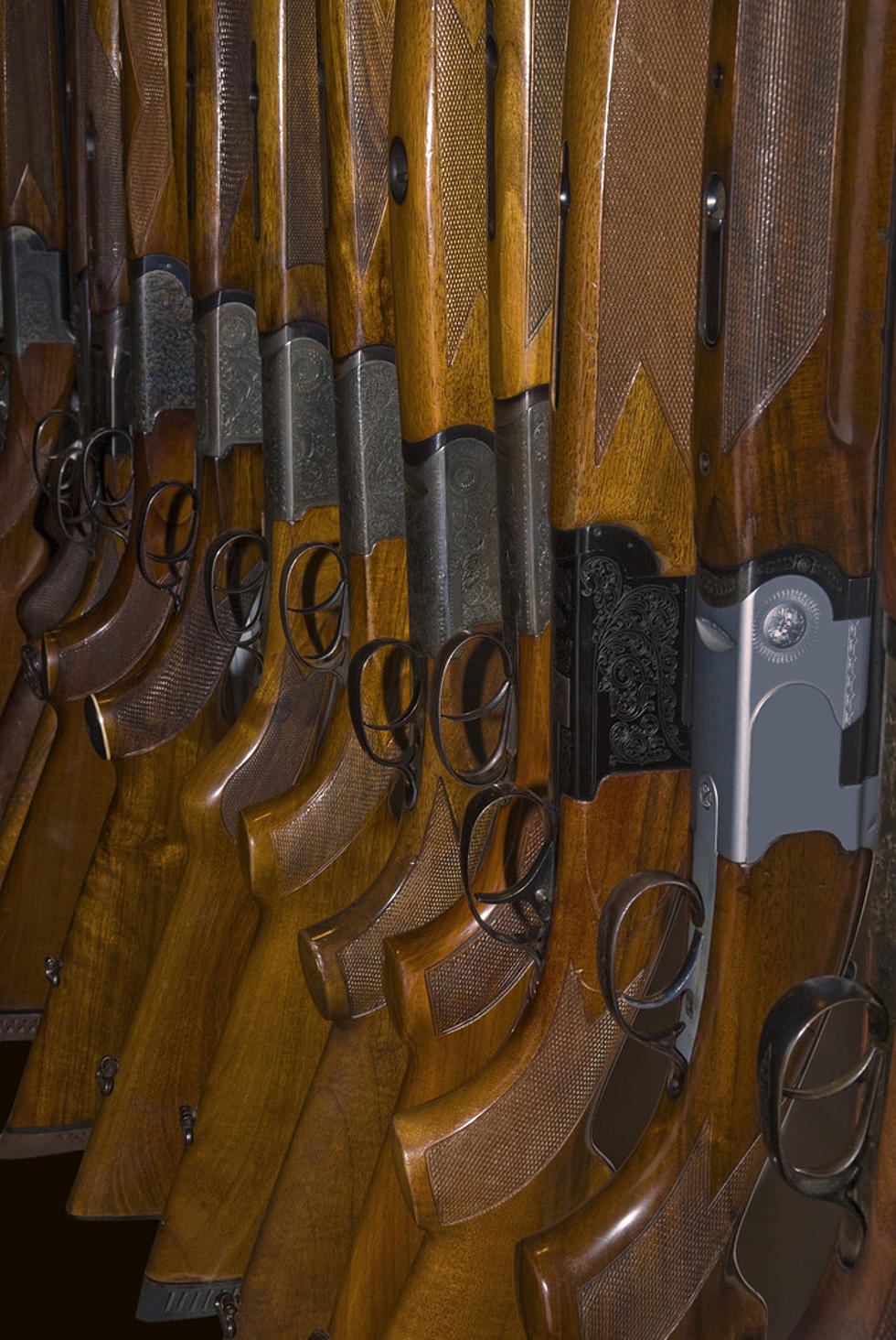 Wyoming Bill To Block State Enforcement Of Gun Control Laws Filed