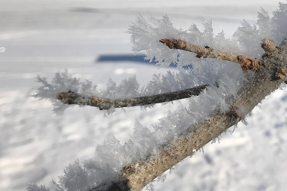 Frost Advisory Issued For Southeast Wyoming For Early Saturday