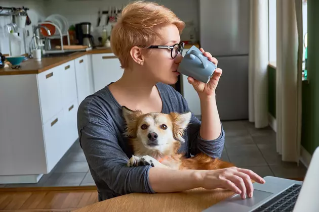 Wyoming Among Worst States for Working From Home, Report Says