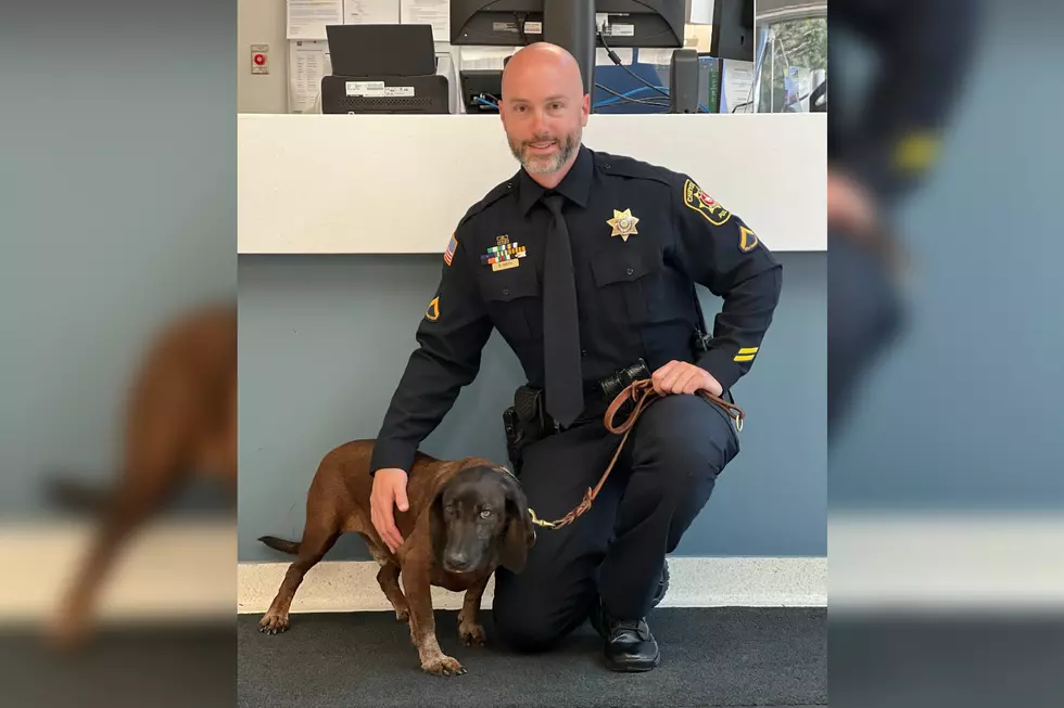 Cheyenne Police Dog Retires After 6+ Years of Service