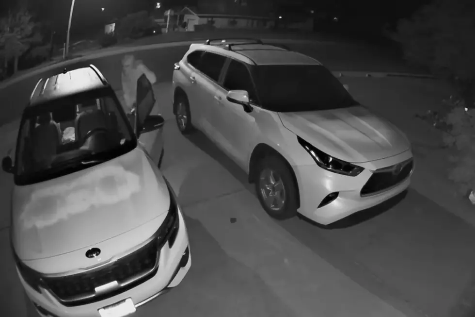 Torrington Police Release Video of Suspect in Auto Burglaries