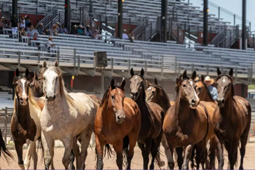 Road Closures Announced for Cheyenne Frontier Days Roundup