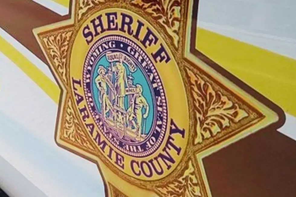 Laramie County Sheriff’s Office Releases Annual Report