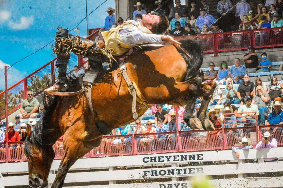 Unofficial Rodeo Results For July 29 Cheyenne Frontier Days