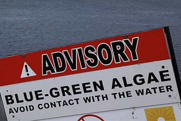 Harmful Blue-Green Algae Found in Cheyenne Lake