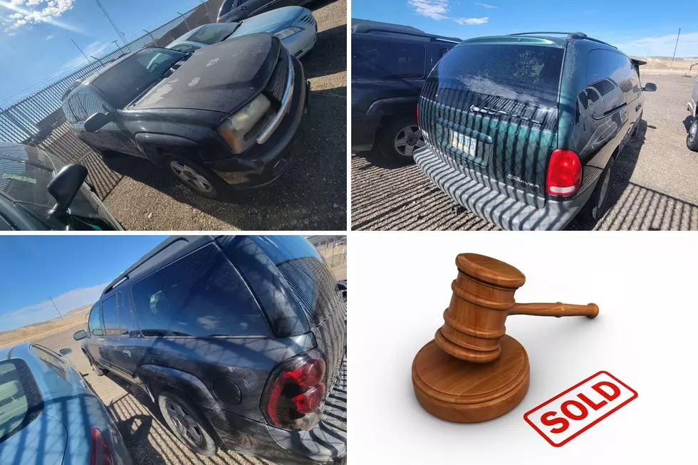 Wyoming Sheriff’s Dept. To Auction Cars, Bids Start At $100