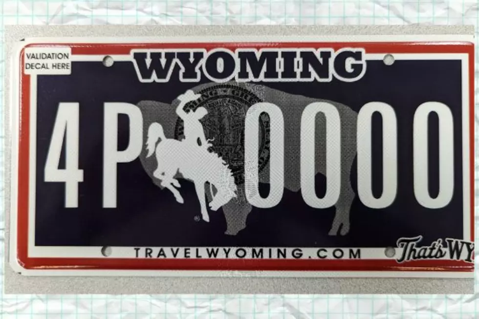 Online Poll: Wyoming&#8217;s New 2025 License Plate Design