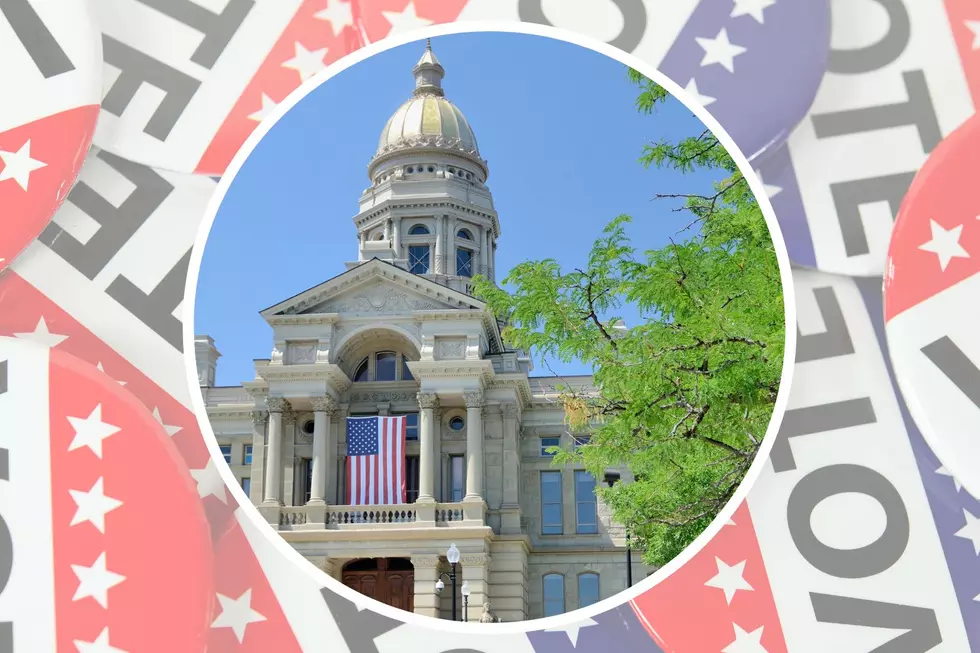 Your Election Day Overview for Laramie County and Wyoming Offices