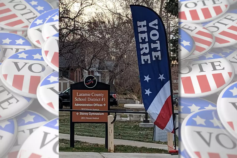 [UPDATED] See Laramie County 2022 General Election Results Here