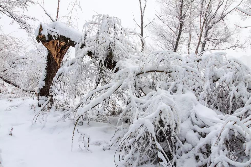 Southeast Wyoming Bracing For Arctic Plunge This Weekend