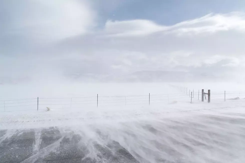 Ground Blizzard Conditions Expected In Southeast Wyoming