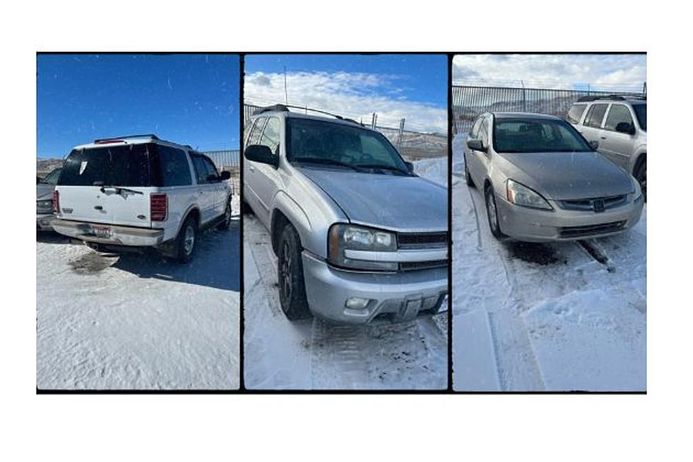 Wyoming Sheriff’s Office To Auction Cars, Bids Start At $100