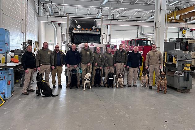 9 More Wyoming Highway Patrol K-9s Trained to Detect Fentanyl