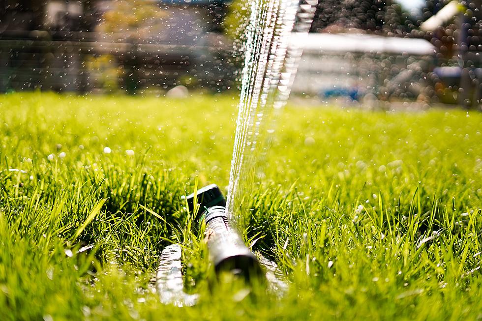 Cheyenne BOPU To Implement New Year-Round Watering Restrictions On April 1