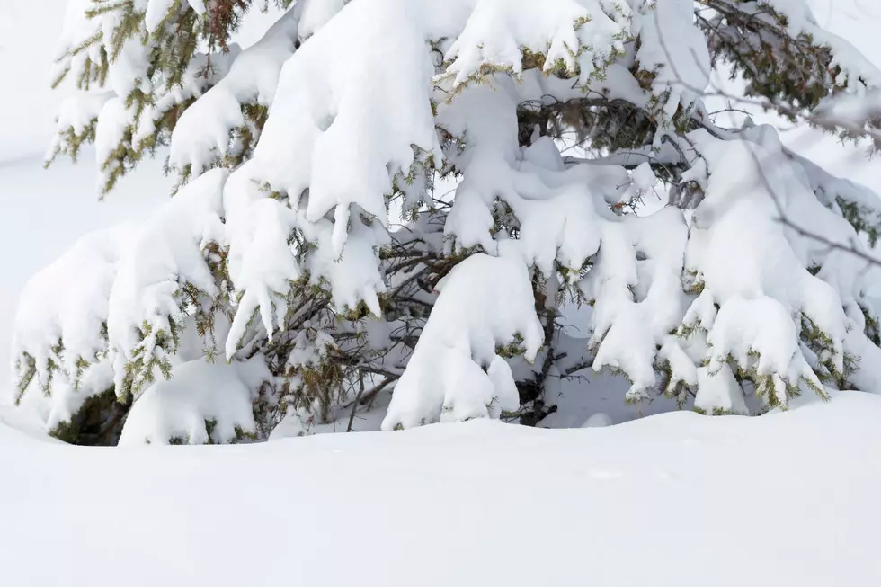 SE Wyoming Forecast Includes Heavy Mountain Snow, 65 MPH Winds