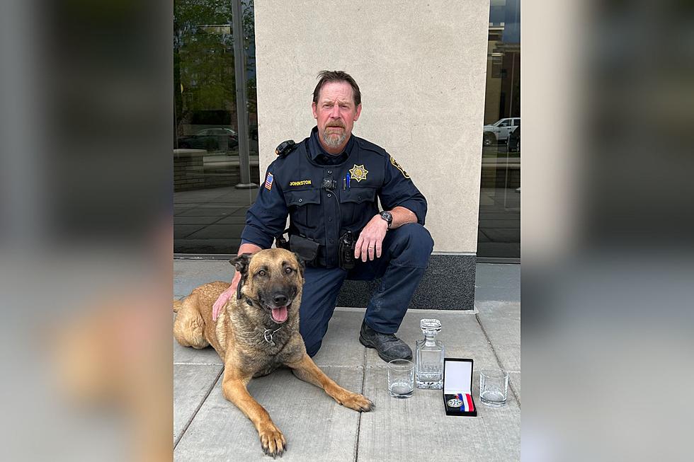 Cheyenne Police K-9 Team Wins 2 Major Awards During Annual Certification