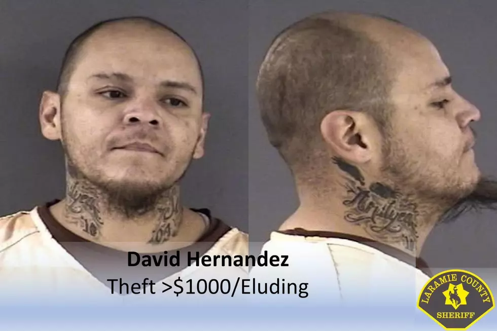 Laramie County Sheriff's Office via Facebook