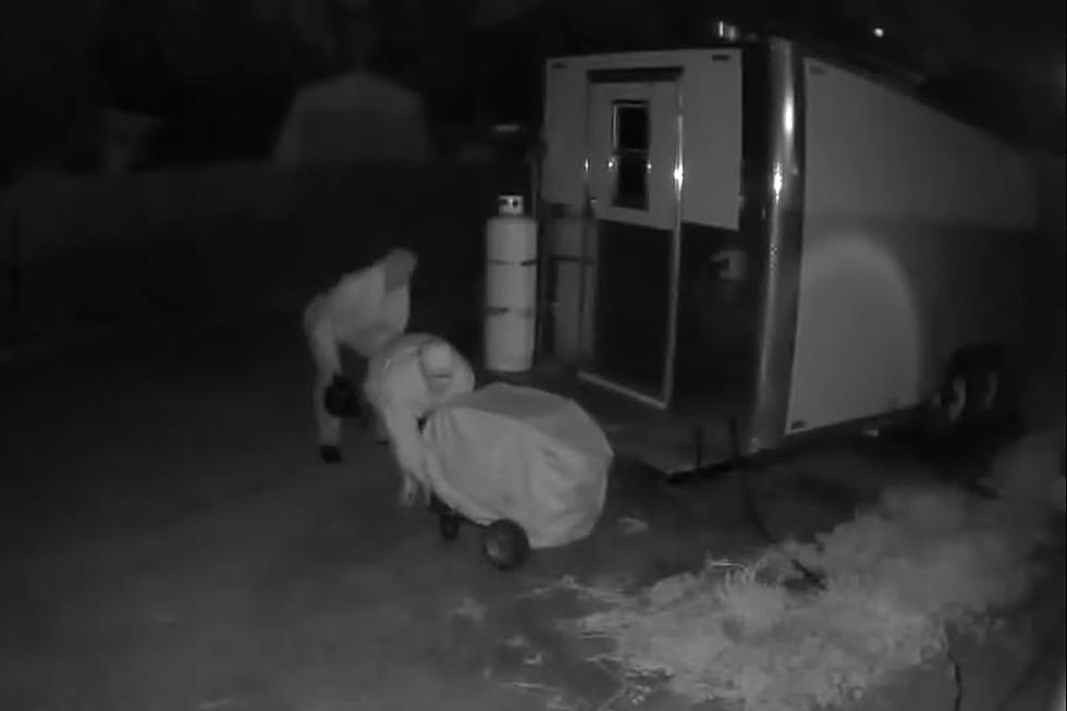 WATCH: Duo Caught on Camera Stealing Generator From Cheyenne Food Truck