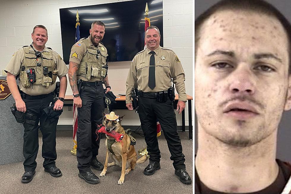 LCSO K-9 Takes One More Bite Out of Crime, Captures 'Most Wanted'