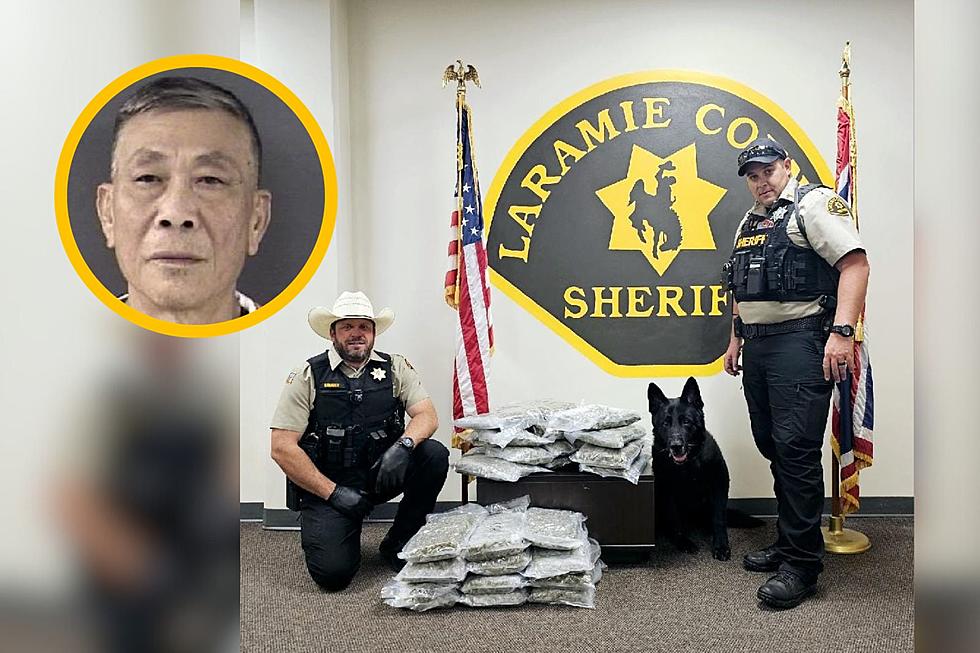 LCSO K-9 Sniffs Out 40 Pounds of Marijuana During Final Shift