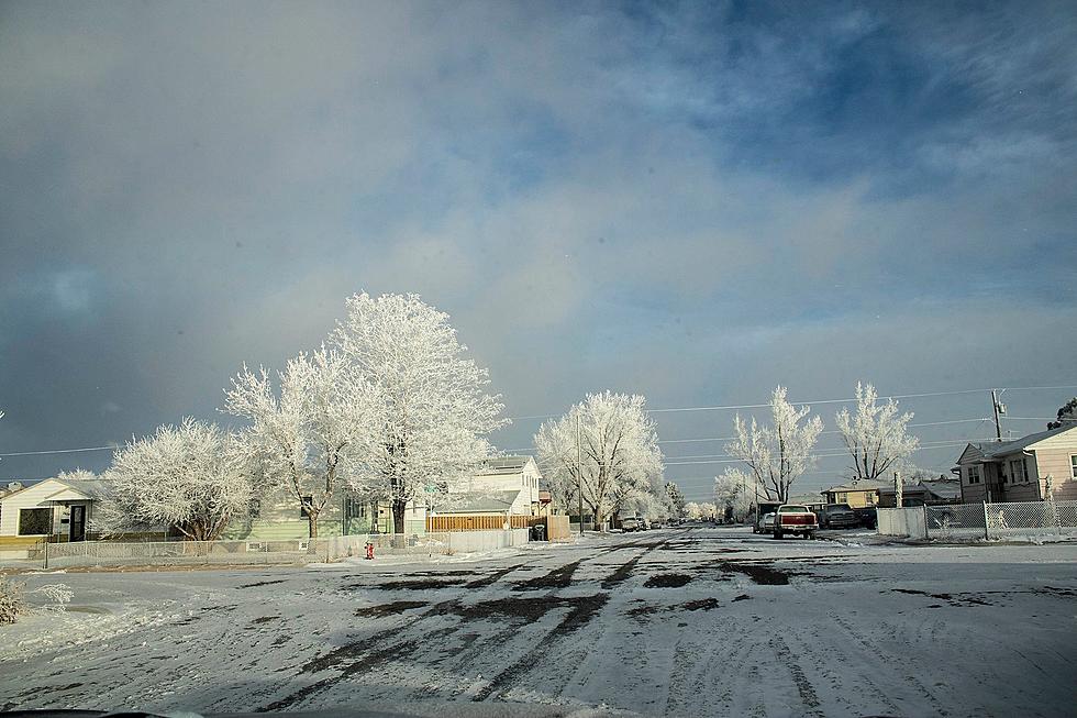 Freezing Temperatures In SE Wyoming Could Damage Plants, Plumbing