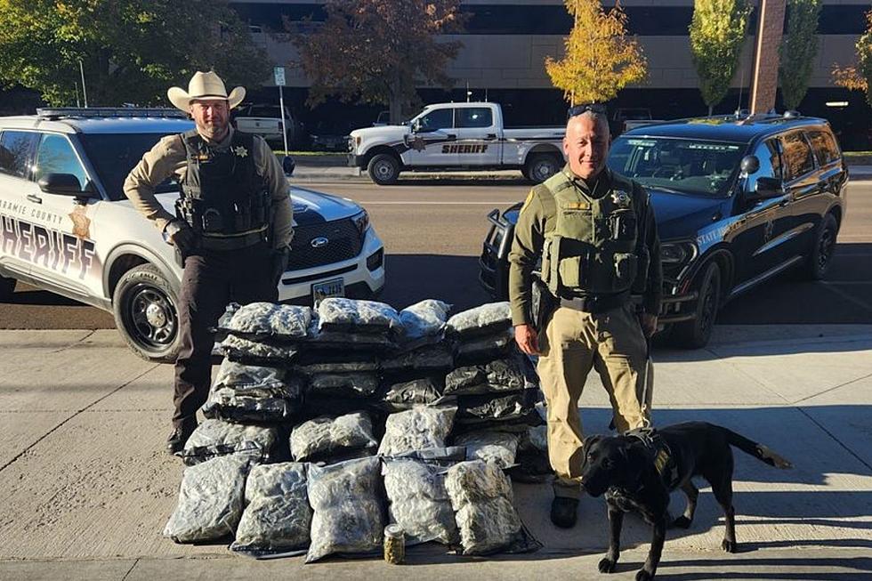 Cheyenne Traffic Stop Leads to 65 Pounds of Marijuana, 2 Arrests