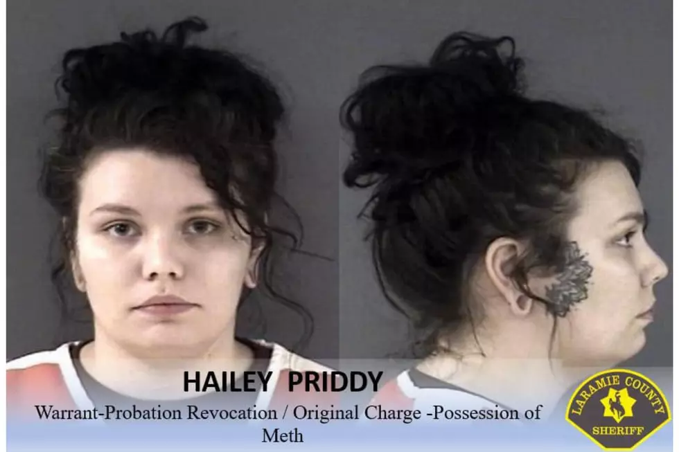 Laramie County Sheriff's Office via Facebook