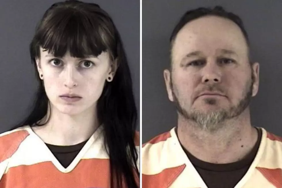 Wanted Hillsdale Duo Arrested; Each Charged With 9 Felonies