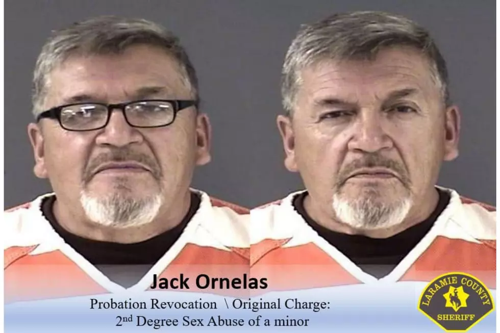 Laramie County Sheriff's Office via Facebook