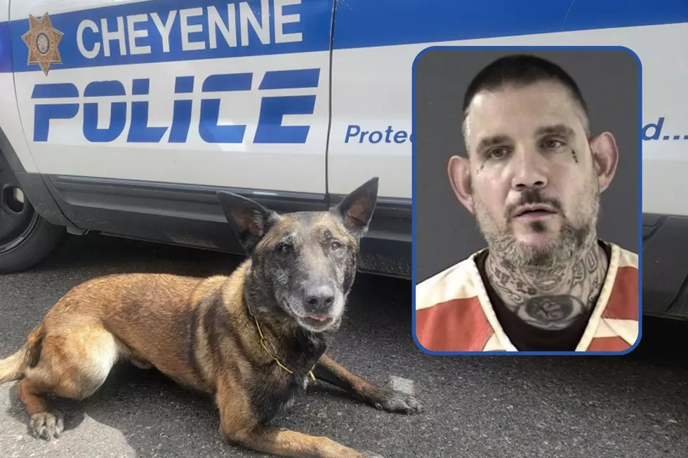 Police K-9 Takes Down One of Laramie County’s ‘Most Wanted’