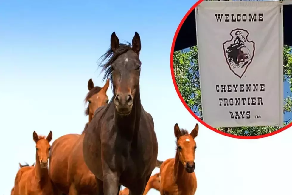Cheyenne Frontier Days: No Bucking Horse Roundup This Year