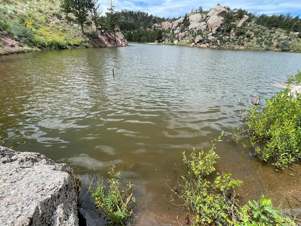 Blue-green algae found near Granite Springs Reservoir