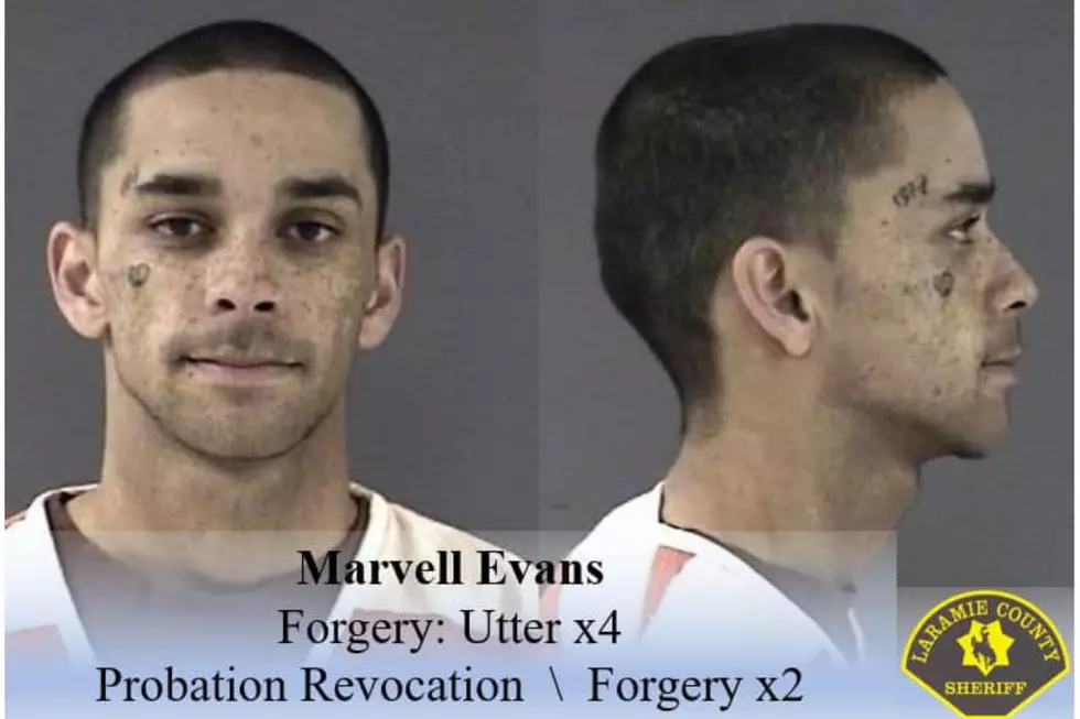 Laramie County Sheriff's Office via Facebook