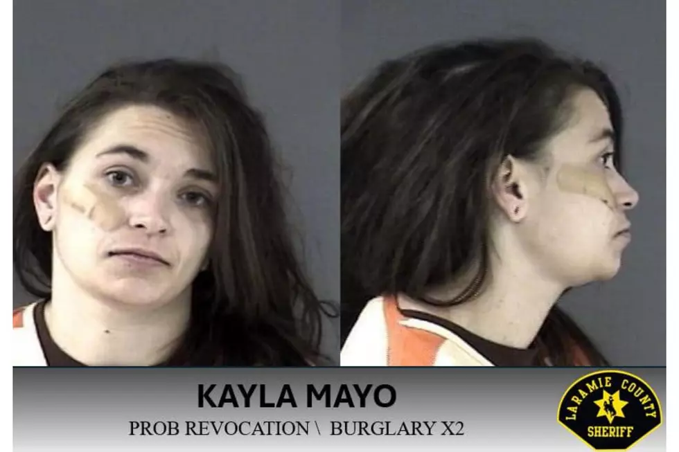 Laramie County Sheriff's Office via Facebook