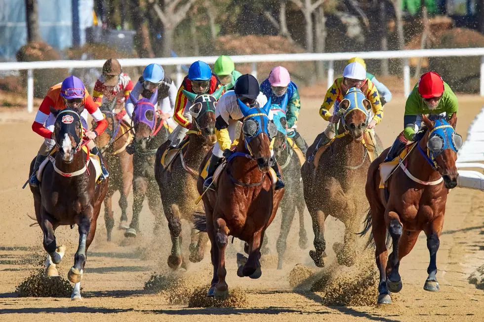 Wyoming Gaming Commission Approves Laramie County Horse Racing