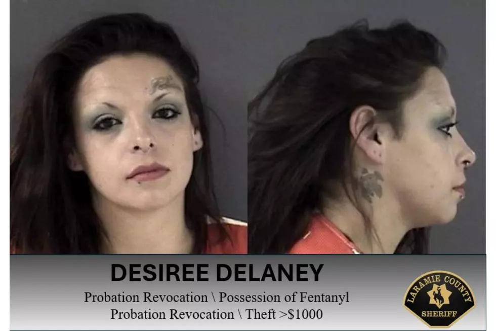 Laramie County Sheriff's Office via Facebook