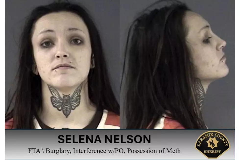 Laramie County Sheriff's Office via Facebook