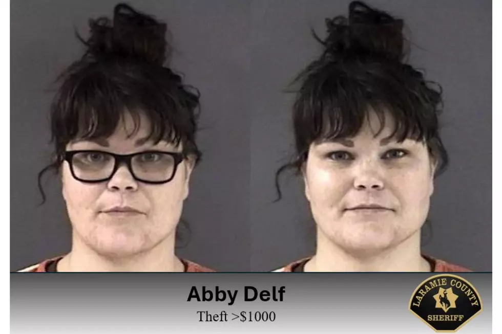Laramie County Sheriff's Office via Facebook