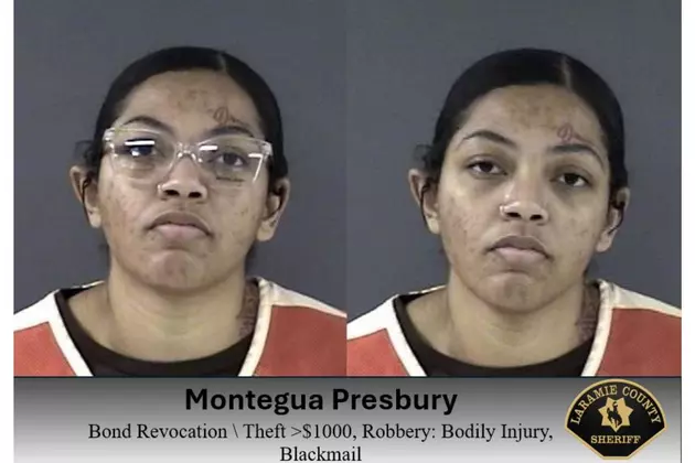 Laramie County Sheriff's Office via Facebook