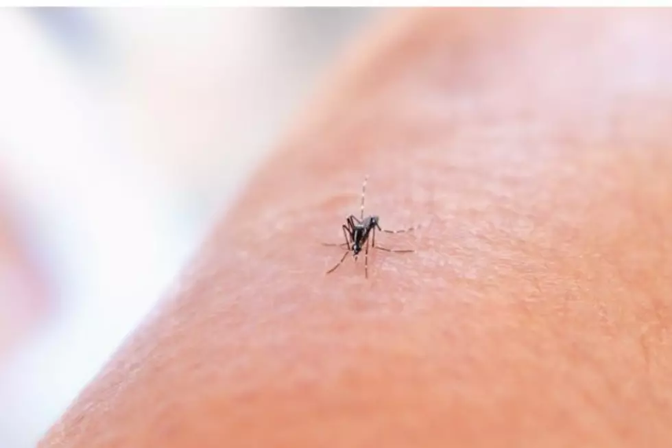 ‘Unusually High’ Levels Of West Nile Virus Activity in Cheyenne, Laramie County