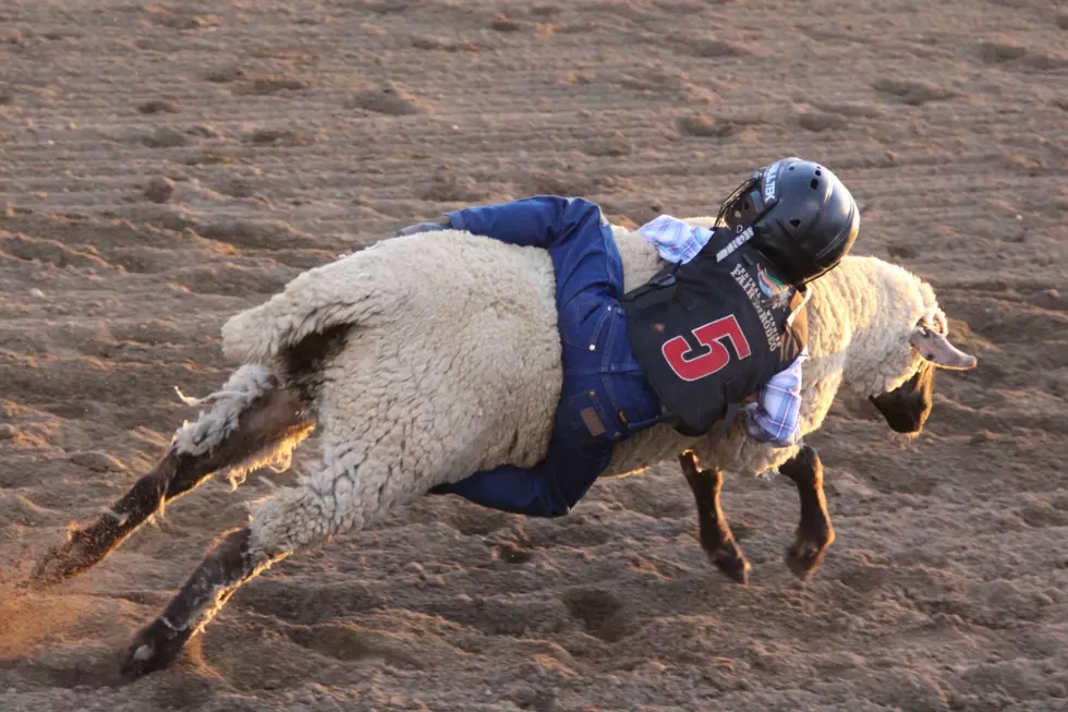 Central Wyoming Rodeo Kicks off Tuesday Night in Casper