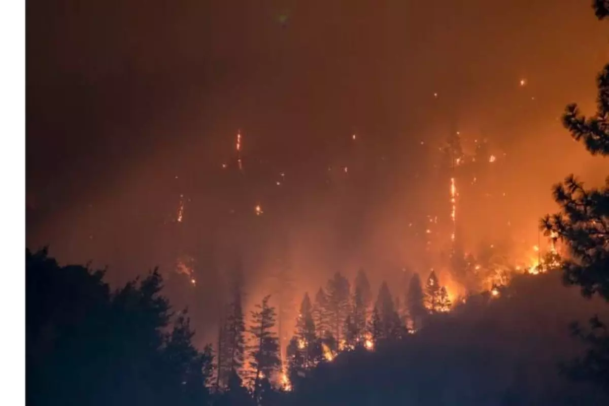 Wyoming Governor Issues Emergency Wildfire Declaration