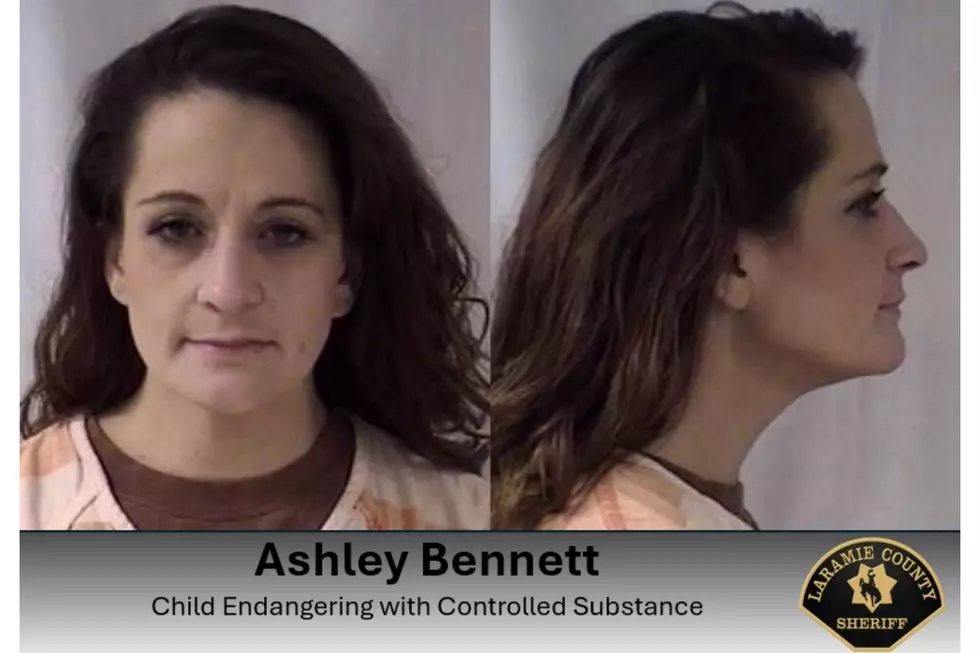 Laramie County Sheriff's Office via Facebook