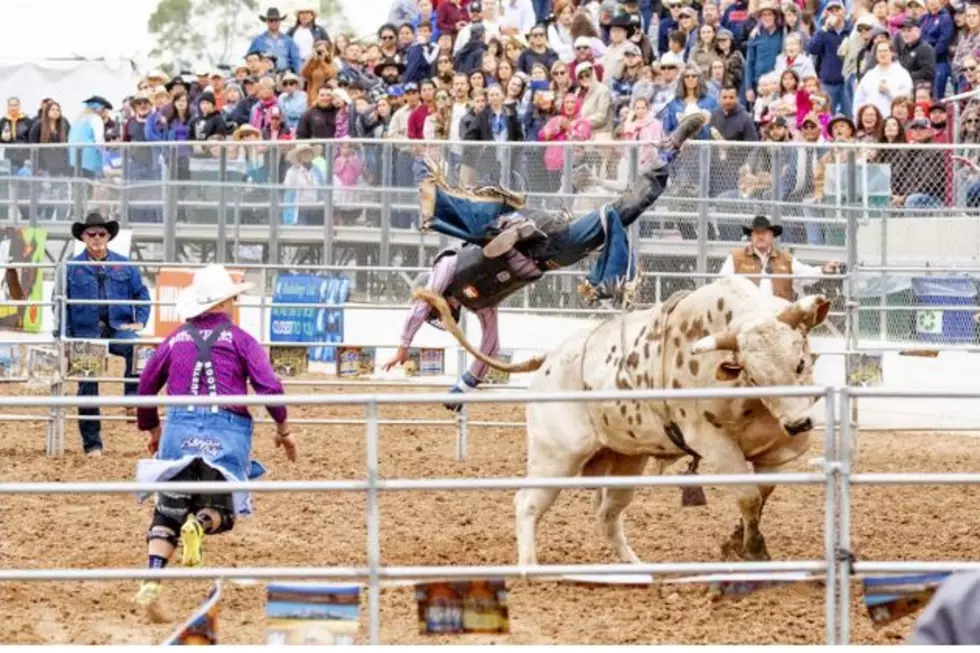 Laramie Jubilee Days July 9: Jalapeno Eating Contest, Bull Riding, Live Music