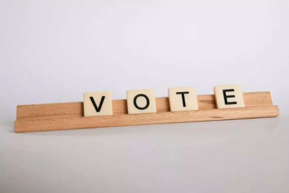 Albany County Voting Information For 2026 Primary Election