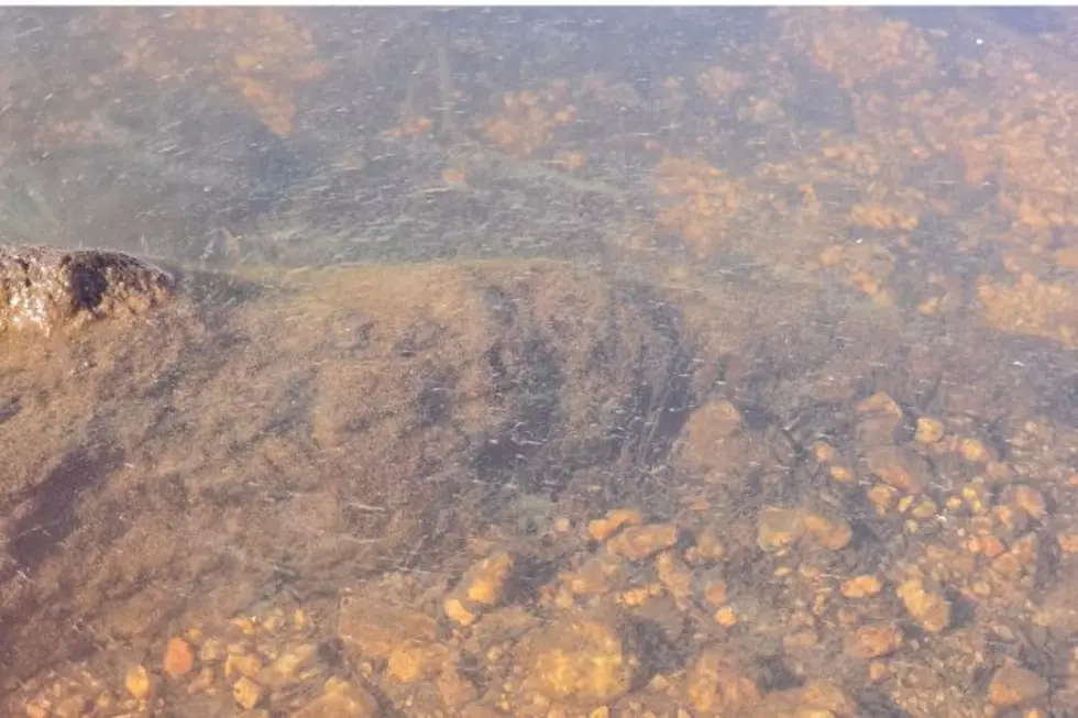Cyanobacterial Bloom Advisory Issued For Granite Reservoir