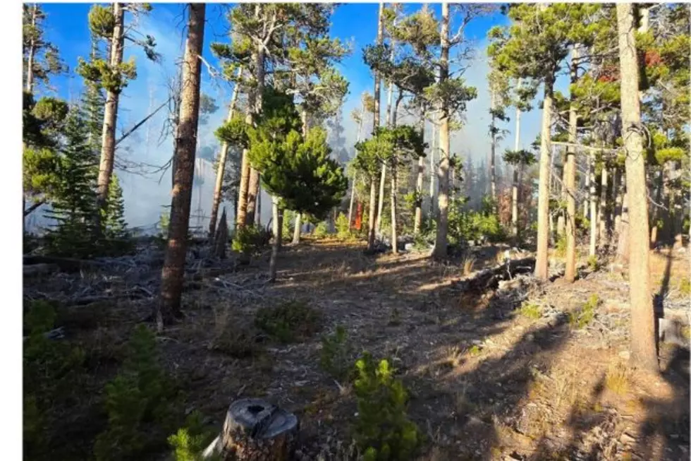 Albany County Fire Quickly Contained