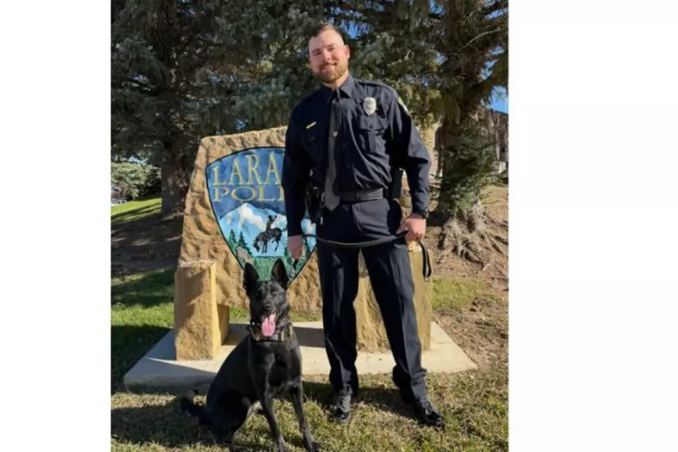 Meet The Laramie Police Department’s First K9 Since 1999, Zara