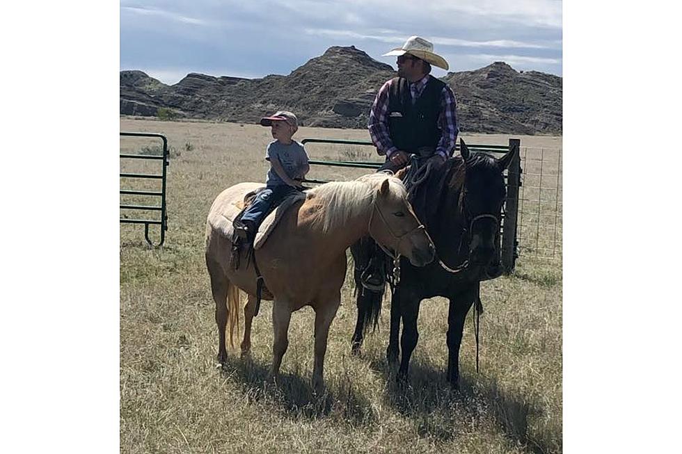 Montana Bull Sale Stays On, As Grandpa Battles Cancer